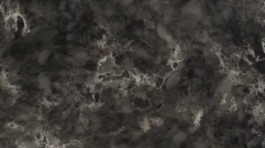 Noble_imperial_grey