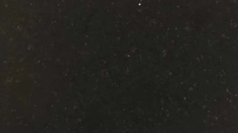 Taurus-Black