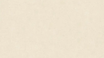 Rigel Ideal Stone