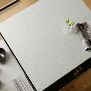 wild-yucca-realization-0